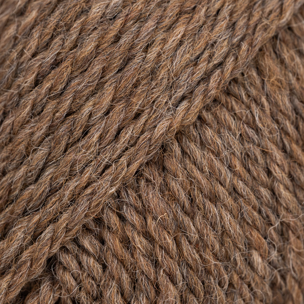 Alaska – Grizzlybjørn (94)