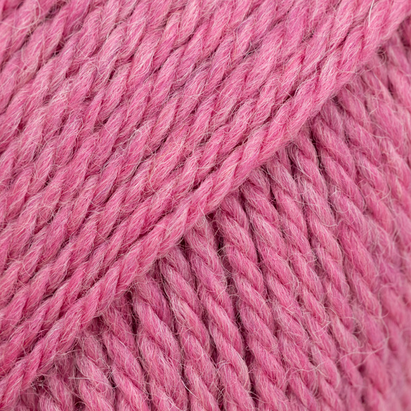 Alaska – Vild orkidé (95)